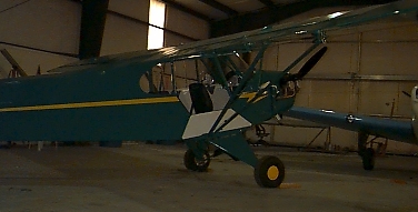 Green cub