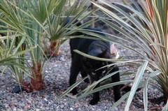 DSC_0005.JPG
