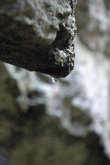 DSC_0063.JPG