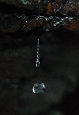 DSC_0101.JPG