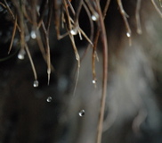 DSC_0104.JPG
