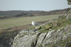 DSC_0036.JPG