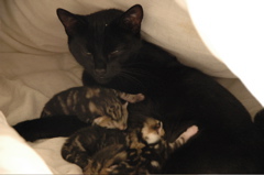 DSC_0004.JPG