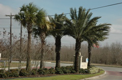 DSC_0002.JPG