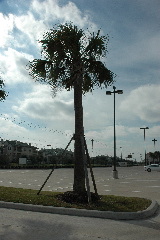 DSC_0005.JPG