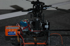 DSC_0005.JPG