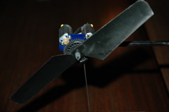 DSC_0002.JPG