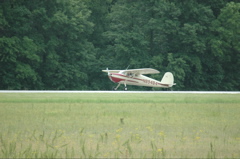 DSC_0036.JPG