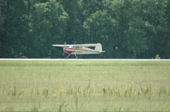 DSC_0041.JPG