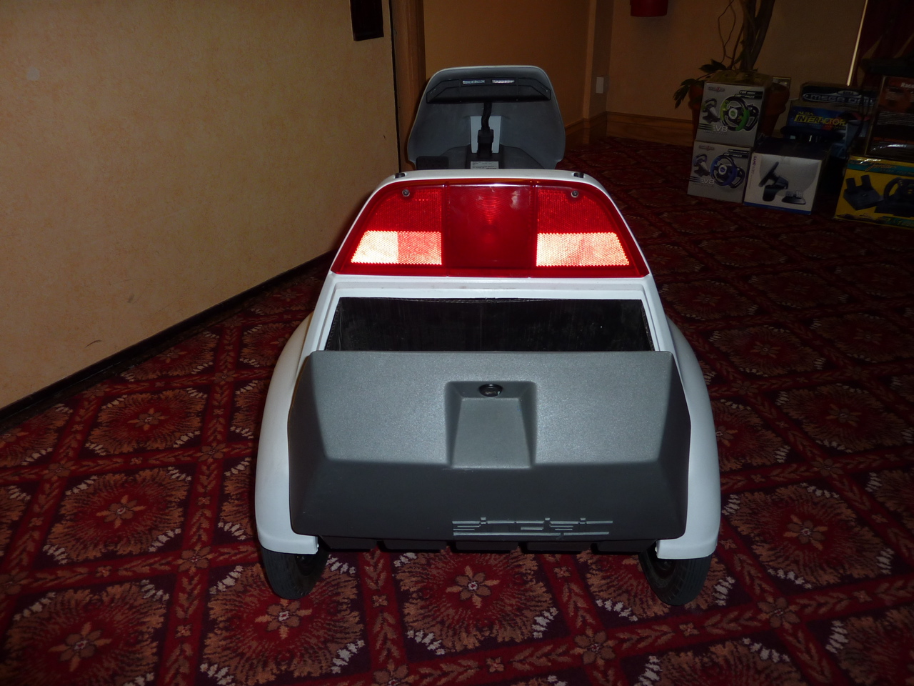 P1000354.JPG