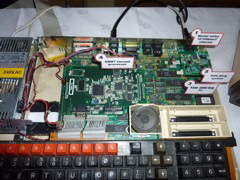 P1000293.JPG